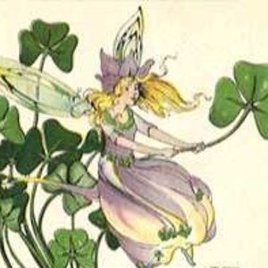 Meet your Posher, Diana